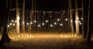 Guirlandes lumineuses suspendues entre des arbres dans une forêt nocturne